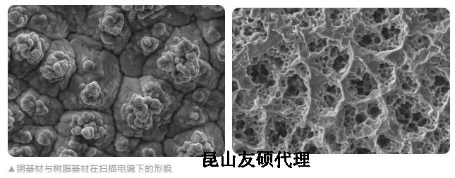 七台河蔡司七台河扫描电镜