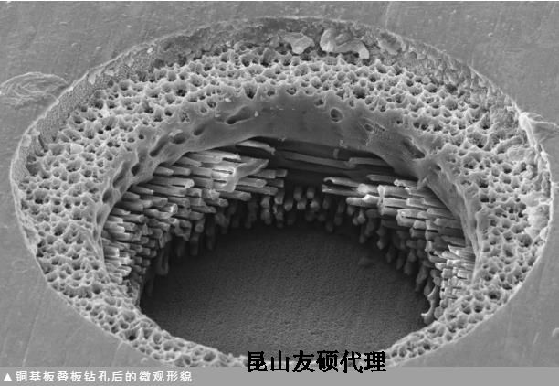 七台河蔡司七台河扫描电镜